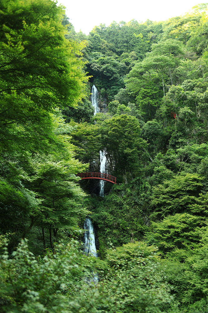 岐阜ゲストハウス（CHAKA HOUSE）